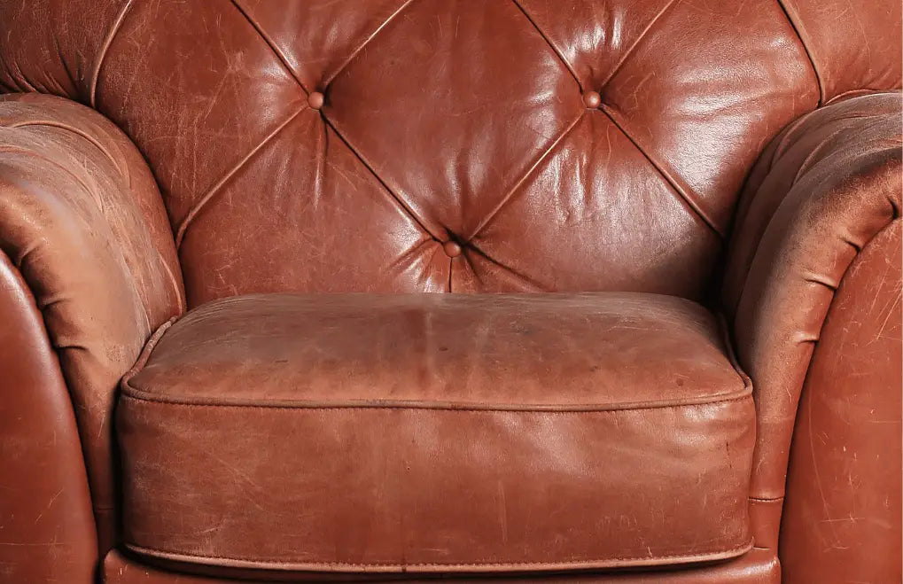 Entretien Canapés et Fauteuils