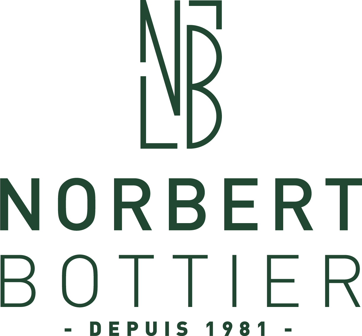 Teinture Française Noir Profond pour cuir et daim - Saphir – Norbert Bottier